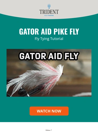 Trident Fly Fishing Newsletter