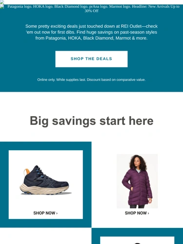 REI Sale Announcement