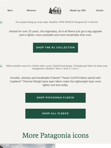 REI Sale Announcement