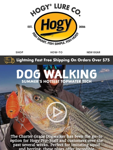 Hogylures Sale Announcement