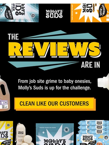 Molly's Suds Newsletter