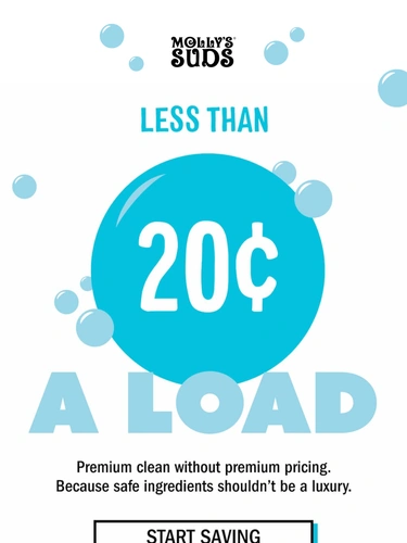 Molly's Suds Newsletter