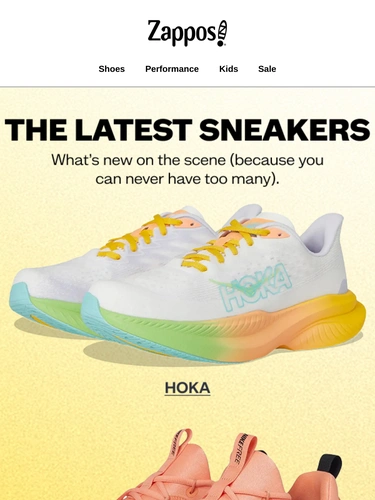 Zappos Newsletter