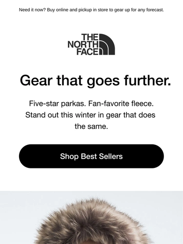 The North Face Newsletter