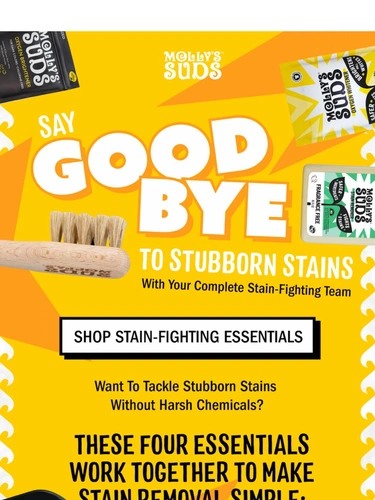 Molly's Suds Newsletter