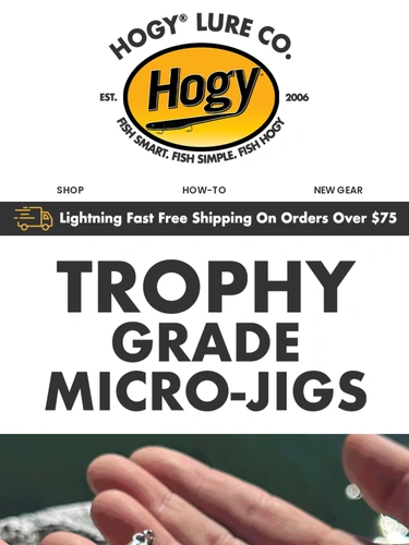 Hogylures Newsletter
