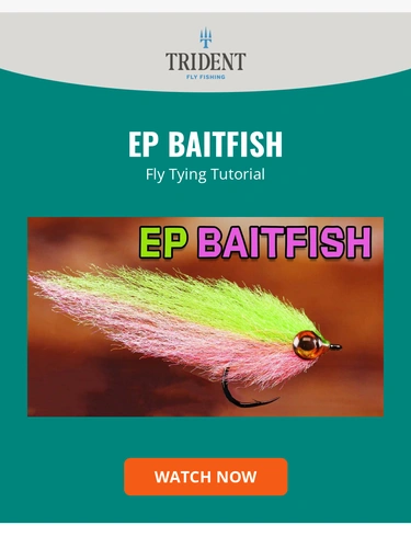 Trident Fly Fishing Sale Announcement