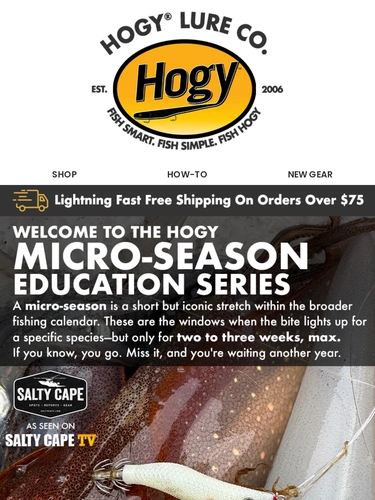 Hogylures Newsletter