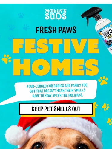 Molly's Suds Newsletter