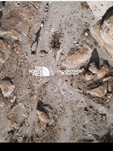 The North Face Newsletter