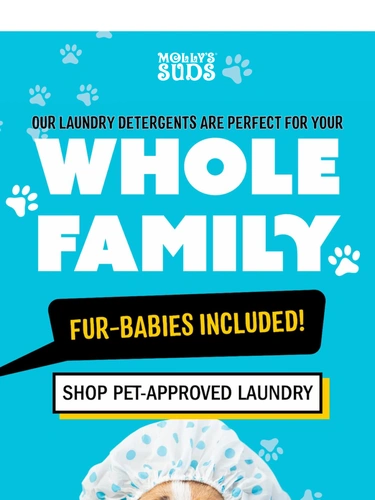 Molly's Suds Newsletter