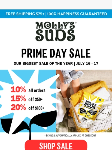 Molly's Suds Sale Announcement
