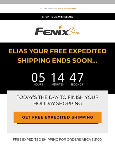 Fenix Store Holiday Campaign