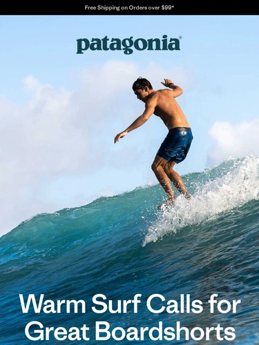 Patagonia Newsletter
