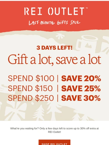 REI Holiday Campaign