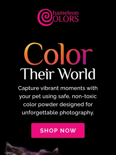 Chameleon Colors Newsletter