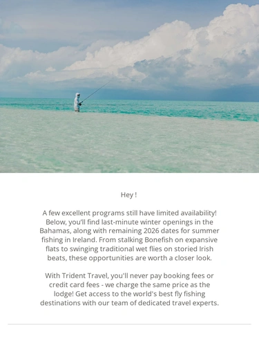 Trident Fly Fishing Newsletter