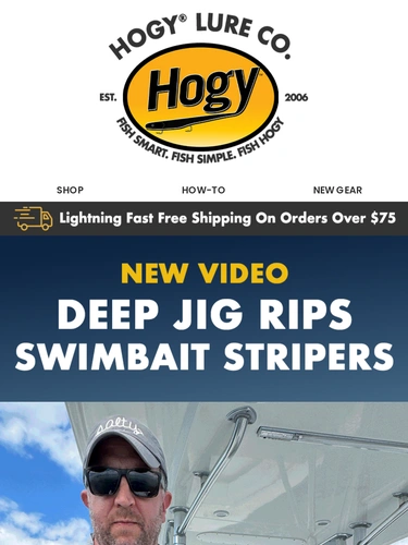 Hogylures Newsletter