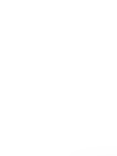Belk Sale Announcement