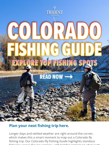 Trident Fly Fishing Newsletter