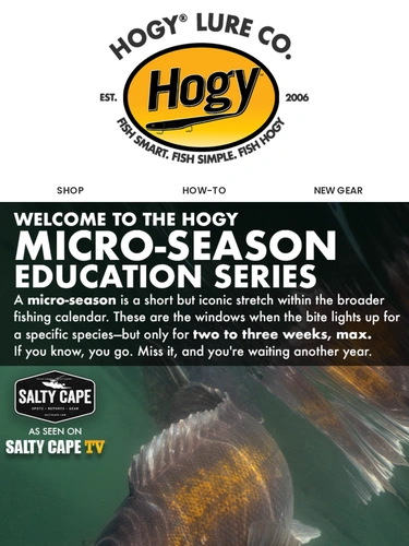 Hogylures Newsletter