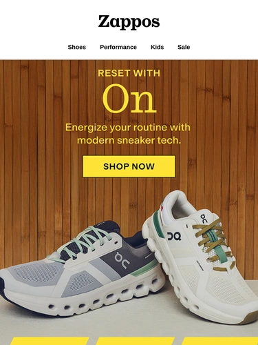 Zappos Newsletter