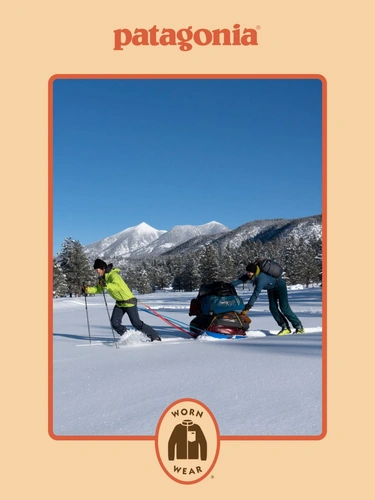 Patagonia Newsletter