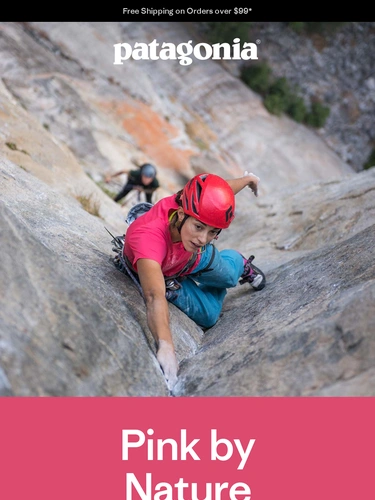 Patagonia Newsletter