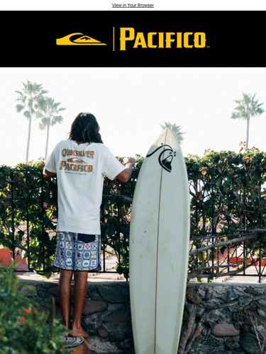 Quiksilver Newsletter