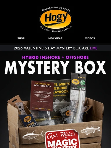 Hogylures Newsletter