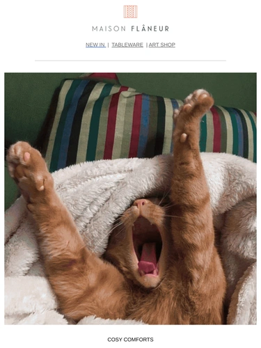 Maison Flaneur Newsletter