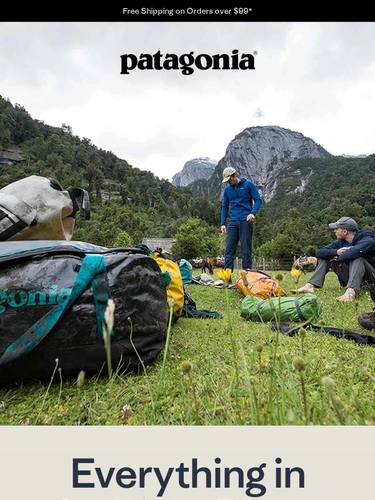 Patagonia Sale Announcement