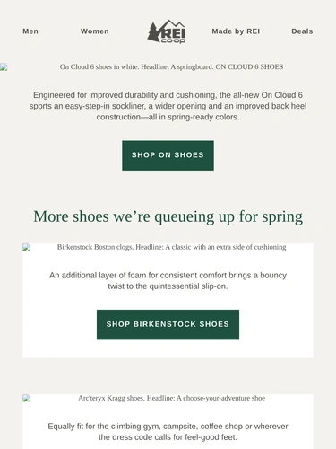 REI Sale Announcement
