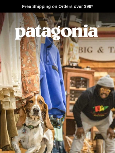 Patagonia Newsletter