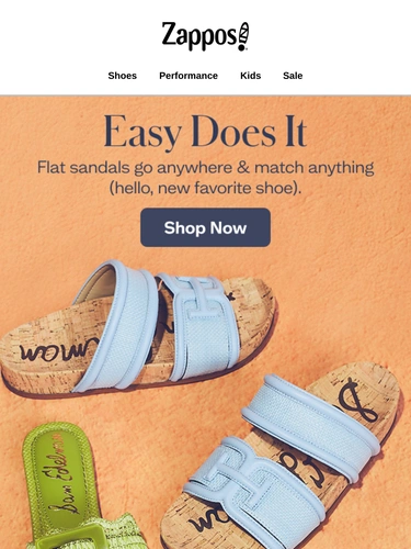 Zappos Newsletter