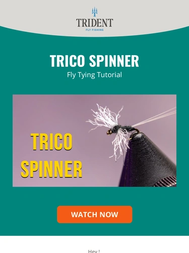 Trident Fly Fishing Product Launch
