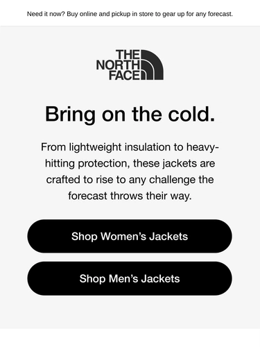 The North Face Newsletter