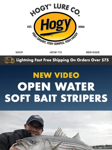 Hogylures Newsletter
