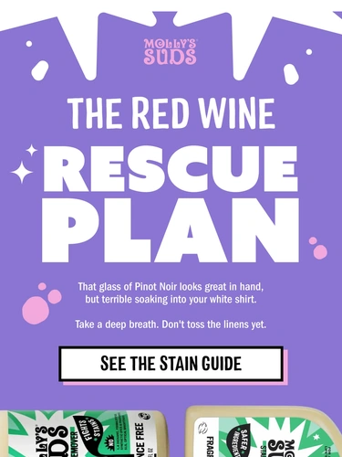 Molly's Suds Newsletter