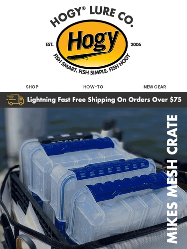 Hogylures Product Launch