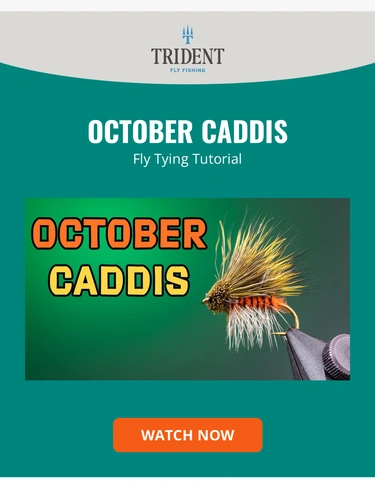 Trident Fly Fishing Product Launch