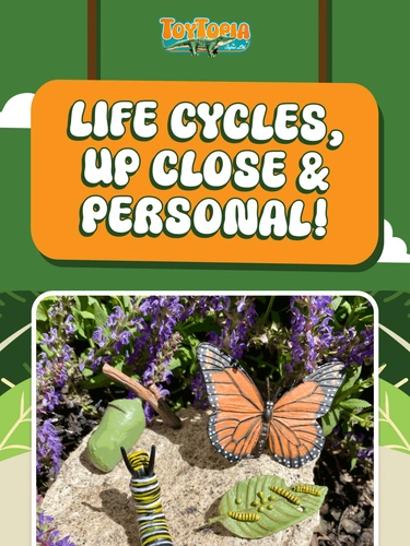 Toytopia Newsletter