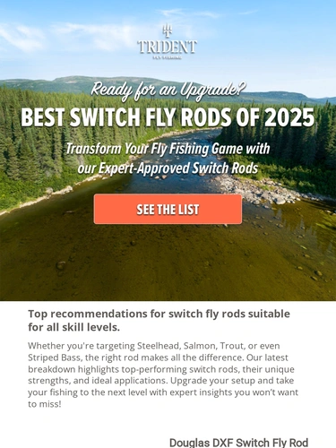 Trident Fly Fishing Newsletter