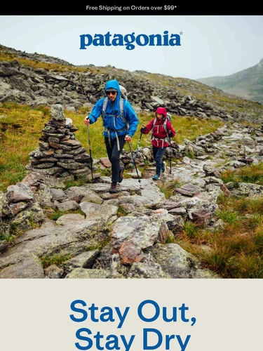 Patagonia Newsletter