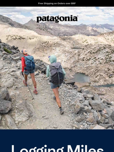 Patagonia Sale Announcement