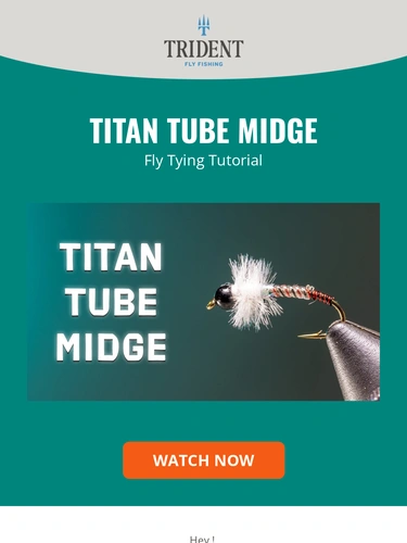 Trident Fly Fishing Newsletter