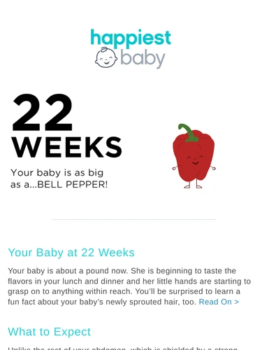 Happiest Baby Newsletter