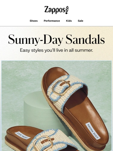 Zappos Newsletter