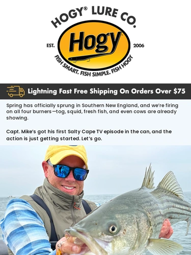Hogylures Newsletter