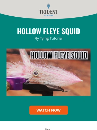 Trident Fly Fishing Newsletter